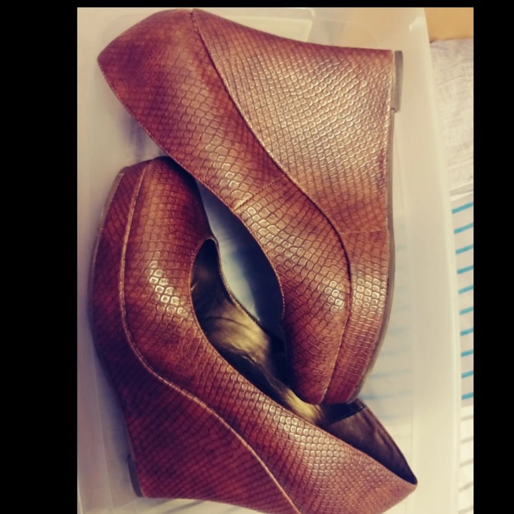 Wedge shoe